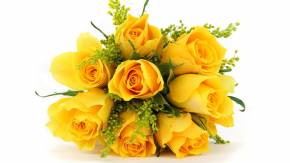 Жёлтые розы в букете на белом фоне