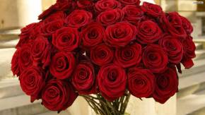 Красные розы в букете на восьмое марта