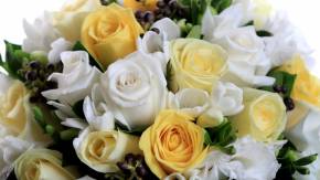 Белые и жёлтые розы в букете на восьмое марта