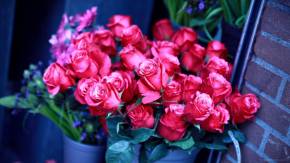 Красивые букеты из роз девушкам на 8 марта