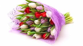 Тюльпаны для девушек на  8 марта