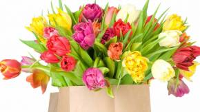 Красивый букет тюльпанов на 8 марта