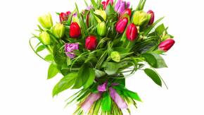 Разноцветные тюльпаны девушке на 8 марта