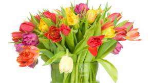 Большой букет тюльпанов девушке на 8 марта