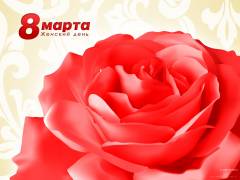 Великолепная роза на 8 марта