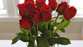 Красные розы на 8 марта