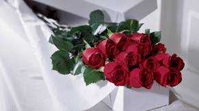 Красные розы на 8 марта в белой коробке