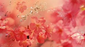 Розовые весенние цветы с кристаллами на 8 марта
