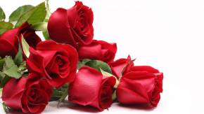 Красные розы для любимой девушки на 8 марта