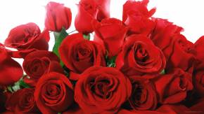 Роскошный букет красных роз на 8 марта