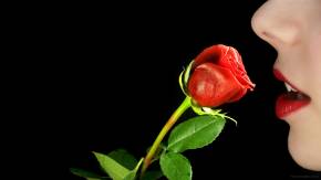 Красная роза в руке у девушки на 8 марта
