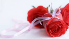 Красные розы на 8 марта с белыми лентами