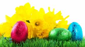 Яйца на фоне желтых цветов на Пасху