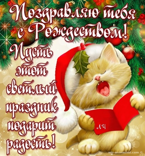 Поздравления С Рождеством Христовым Короткие Прикольные Смешные