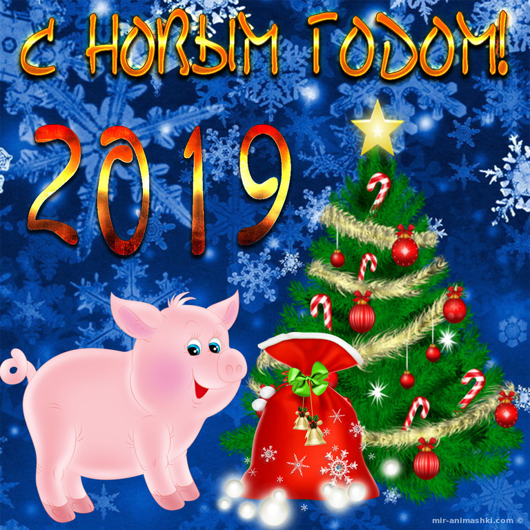 Шаблоны Новогодних Поздравлений 2021 Свинья