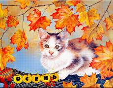Осень-рыжая кошка