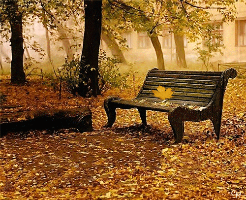 Осенние листья~Осень GIF картинки