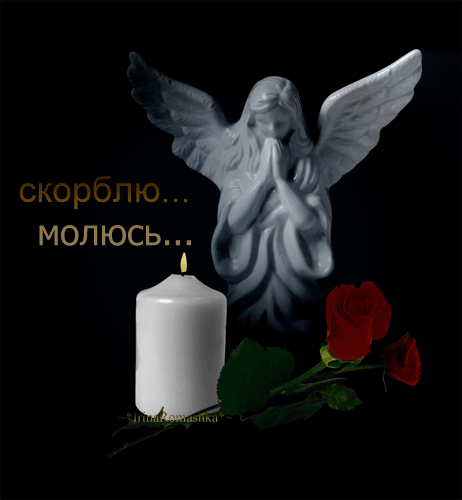 Соболезнования родителям погибших волгоградских студентов. 638193086