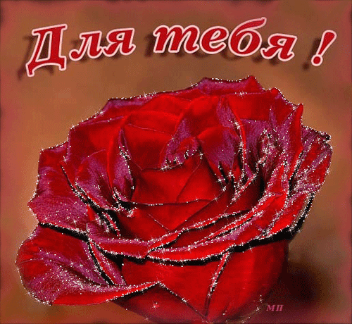 Роза для тебя~Для Тебя