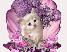 Кошечка с розовыми цветами