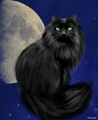 Лунный кот