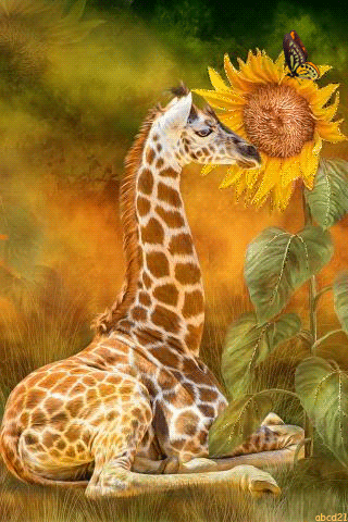 Жираф с подсолнухом