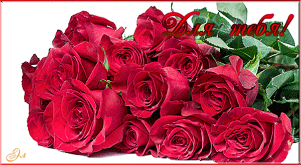 Букет роз для тебя~Розы