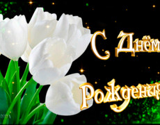 Открытка с Днём Рождения, букет белых тюльпанов