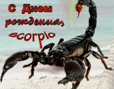 Поздравление скорпиона