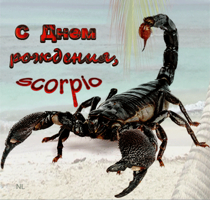 Поздравление Подруге Скорпиону С Днем Рождения