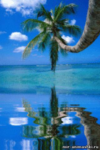 остров с пальмами