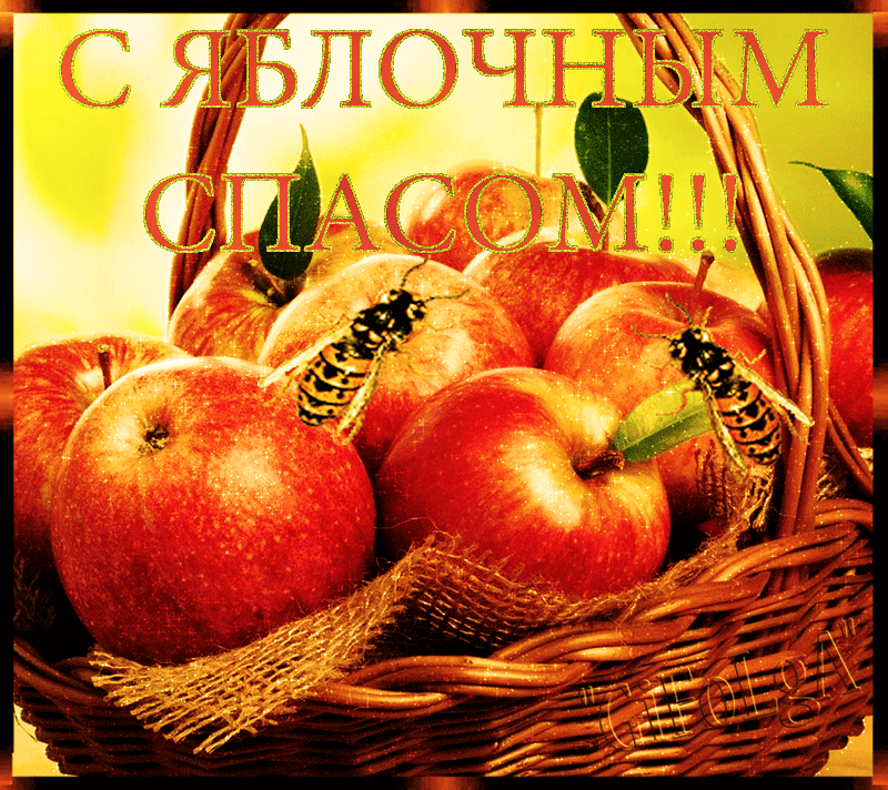 Яблочный Спас открытка