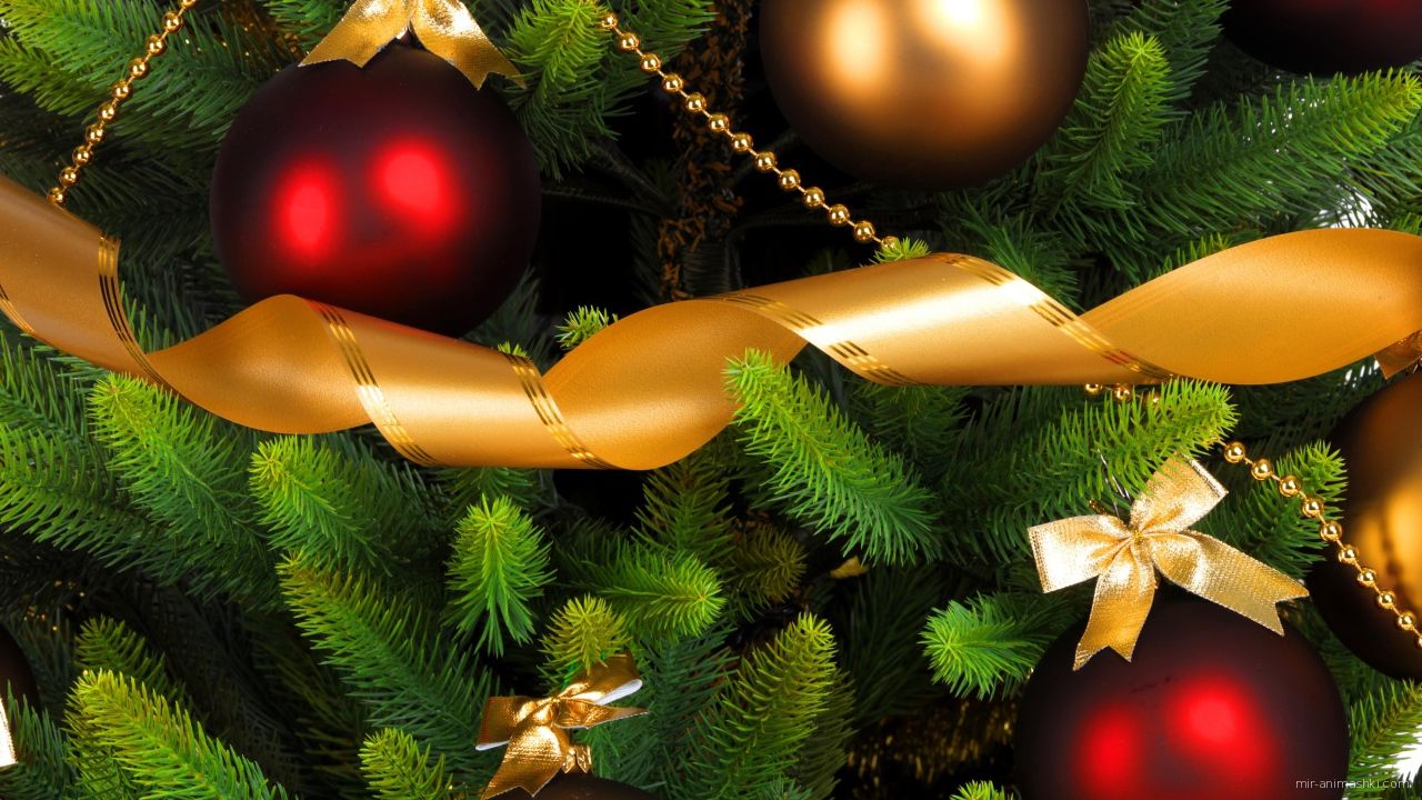 Красные шары на елке - C Рождеством Христовым поздравительные картинки