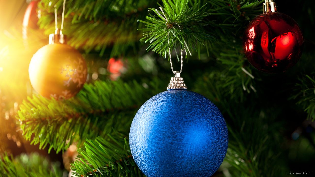Разноцветные шары на елке - C Рождеством Христовым поздравительные картинки