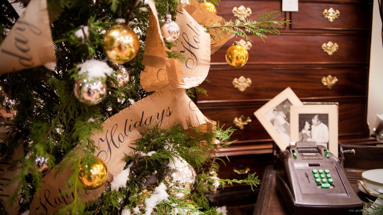 Заснеженная ёлка в уютной комнате на рождество - C Рождеством Христовым поздравительные картинки