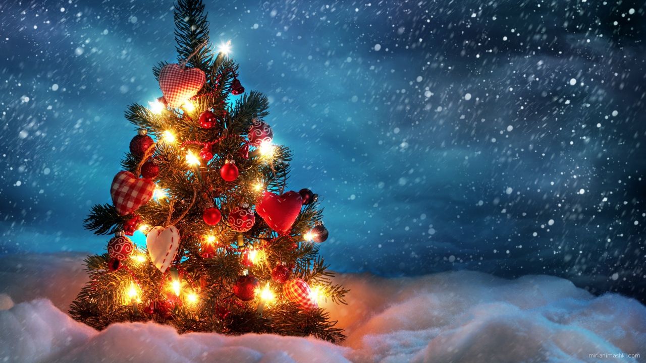 Красивая ель на Рождество - C Рождеством Христовым поздравительные картинки