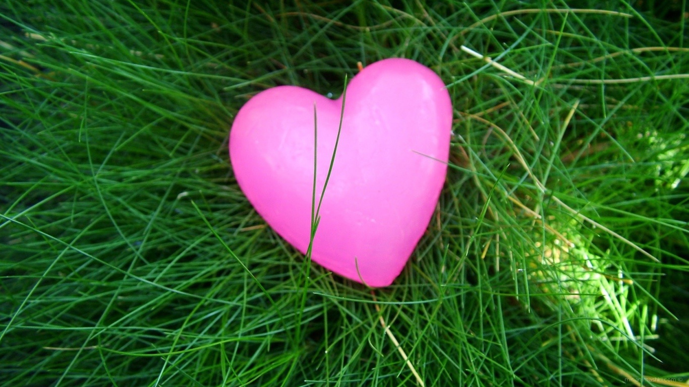 Розовое сердечко на траве - С днем Святого Валентина поздравительные картинки