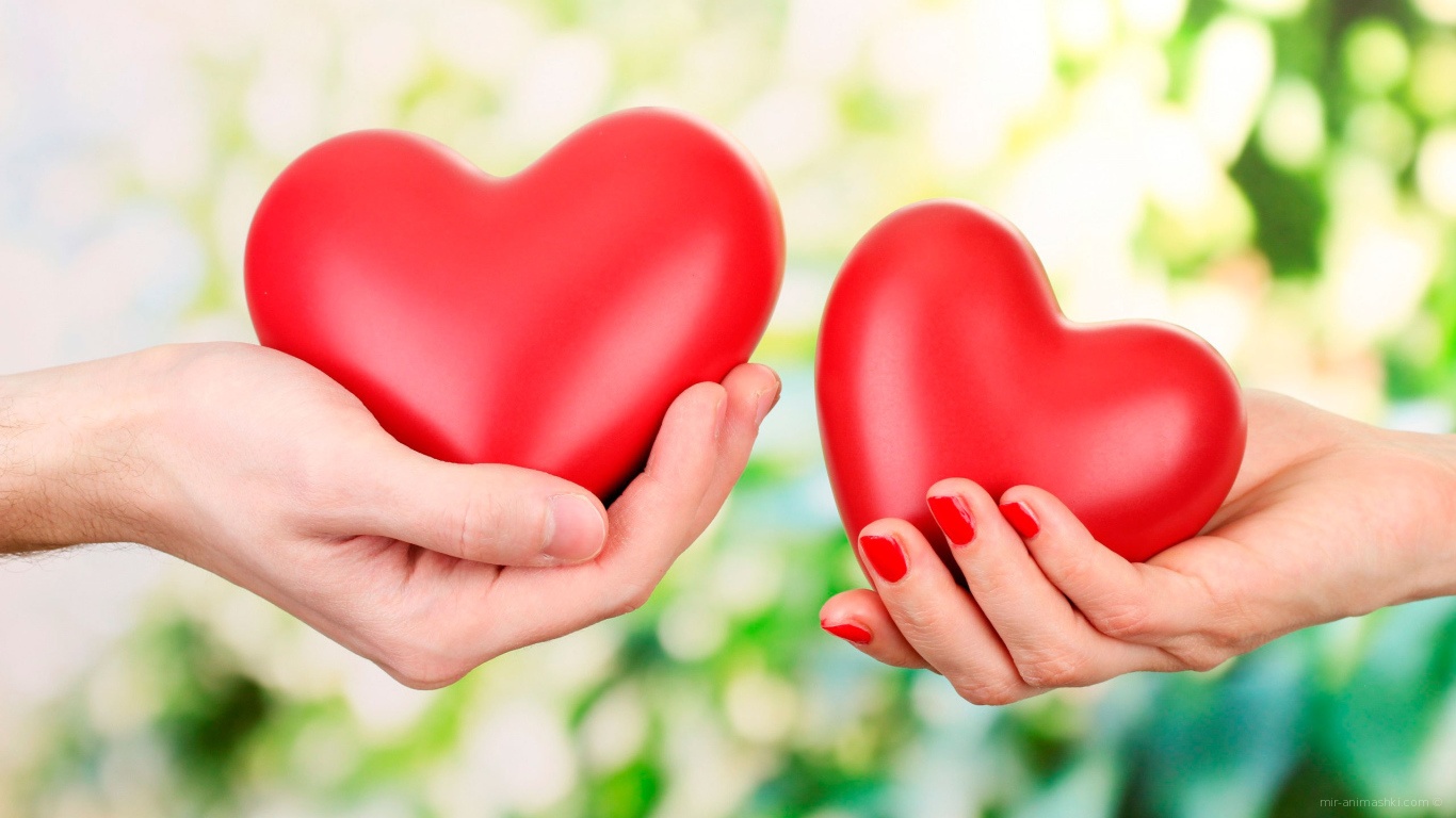 Сердца в руках на День Святого Валентина 14 февраля - С днем Святого Валентина поздравительные картинки