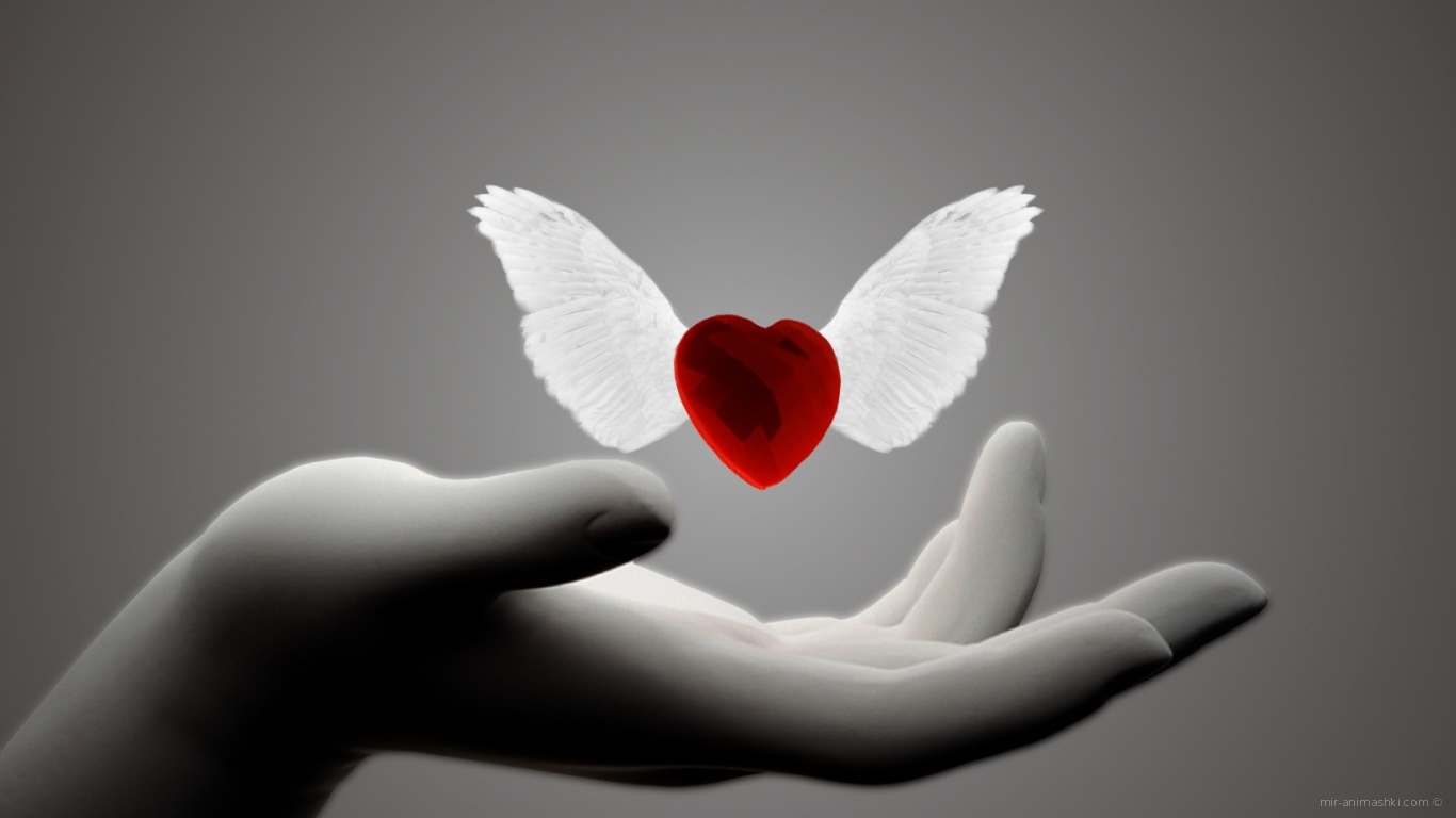 Сердце с крыльями на День Святого Валентина 14 февраля - С днем Святого Валентина поздравительные картинки