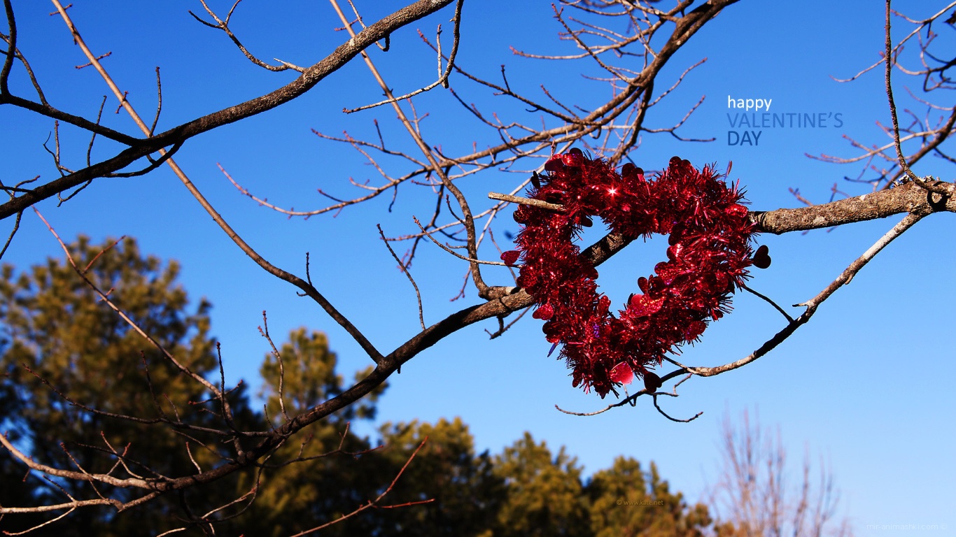 Сердце на ветках на День Святого Валентина 14 февраля - С днем Святого Валентина поздравительные картинки