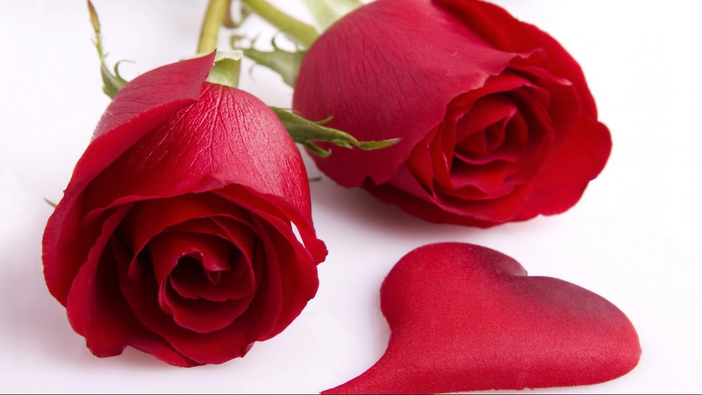 Розы и сердце в День Святого Валентина - С днем Святого Валентина поздравительные картинки
