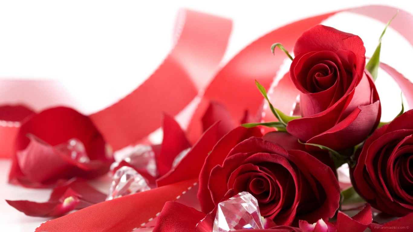 Букет роз на День Святого Валентина 14 февраля - С днем Святого Валентина поздравительные картинки