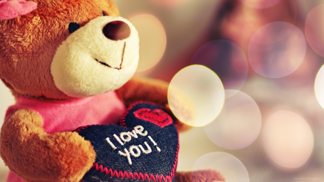 Плюшевый медведь на День Святого Валентина 14 февраля - С днем Святого Валентина поздравительные картинки