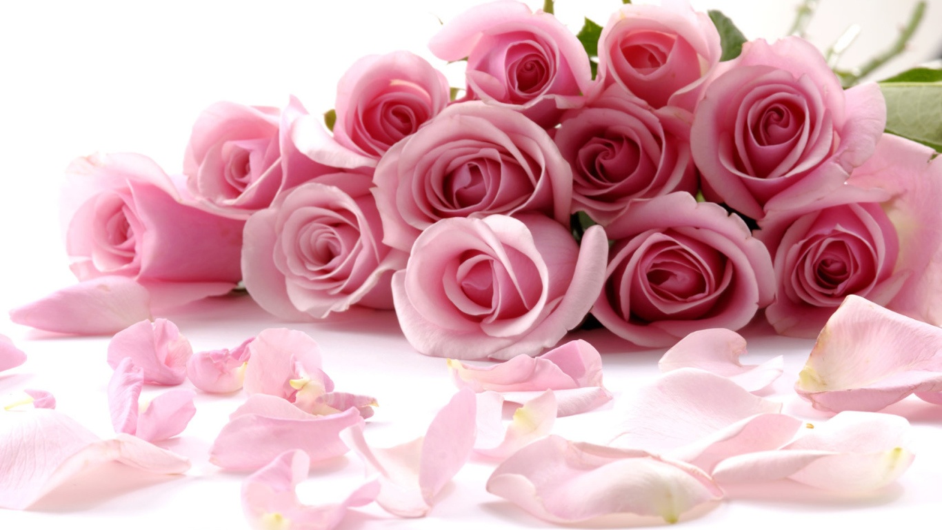 Розы С Днем Святого Валентина - С днем Святого Валентина поздравительные картинки