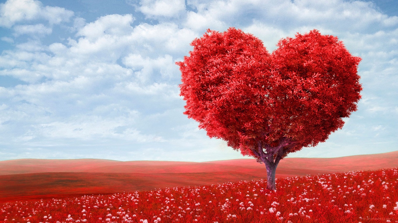 Дерево - сердце на День Святого Валентина - С днем Святого Валентина поздравительные картинки
