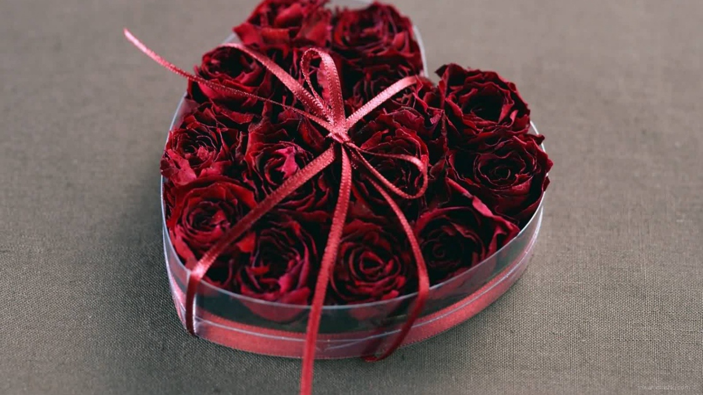 Подарок с розами на День Святого Валентина - С днем Святого Валентина поздравительные картинки