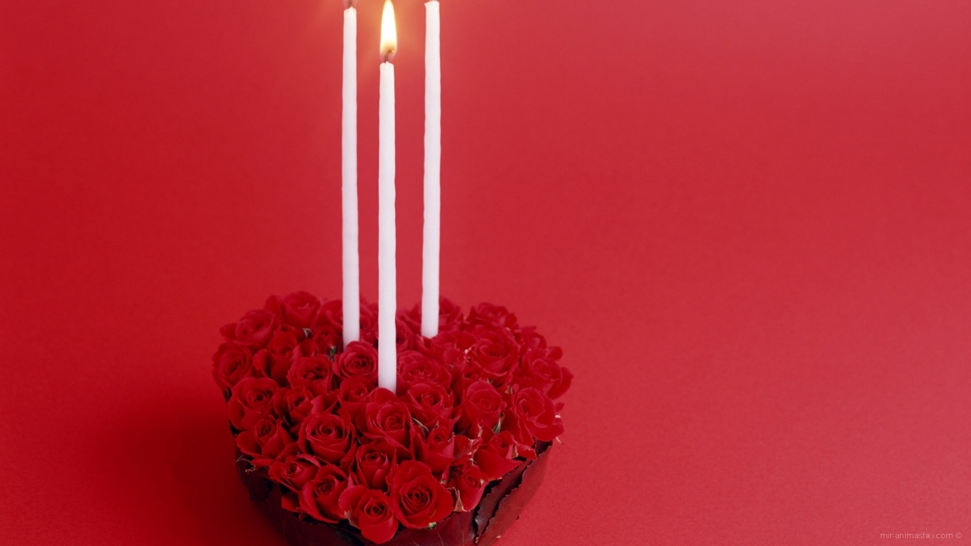 Красные розы в День Святого Валентина - С днем Святого Валентина поздравительные картинки