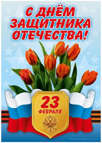 Цветы на 23 февраля защитнику отечества - С 23 февраля поздравительные картинки