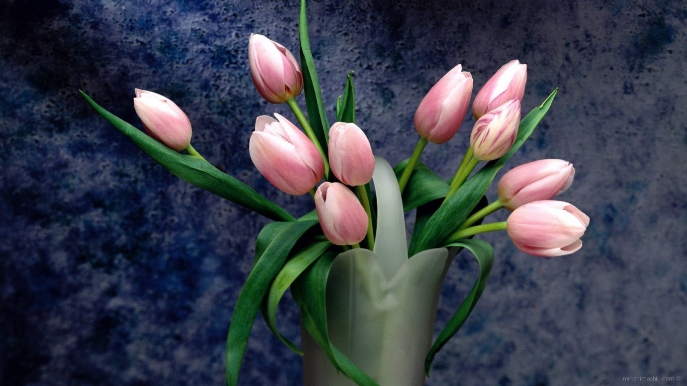 Розовый букет на 8 марта - C 8 марта поздравительные картинки