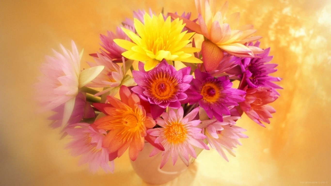 Яркие цветы красивым женщинам на 8 марта - C 8 марта поздравительные картинки